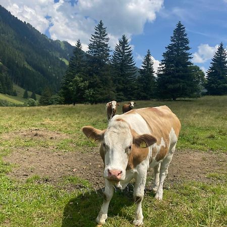 Ferienwohnungen Bianca Hasler - Stallbauer Pusterwald المظهر الخارجي الصورة